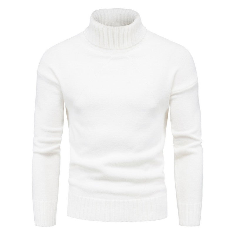 Stylish turtleneck sweater